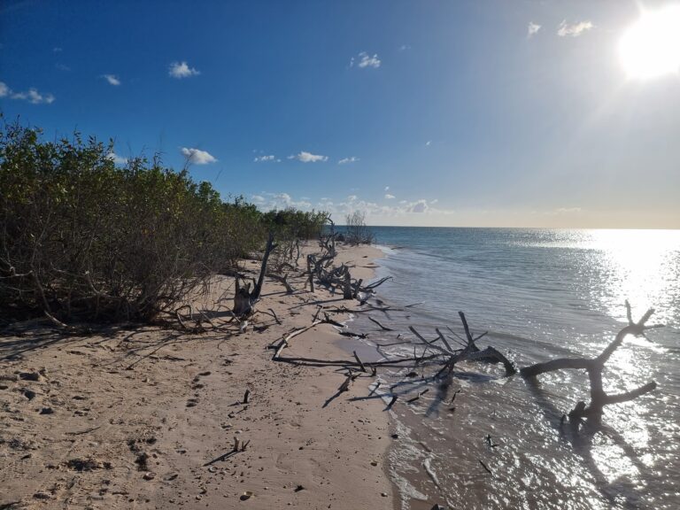 cayo_jutias_cuba