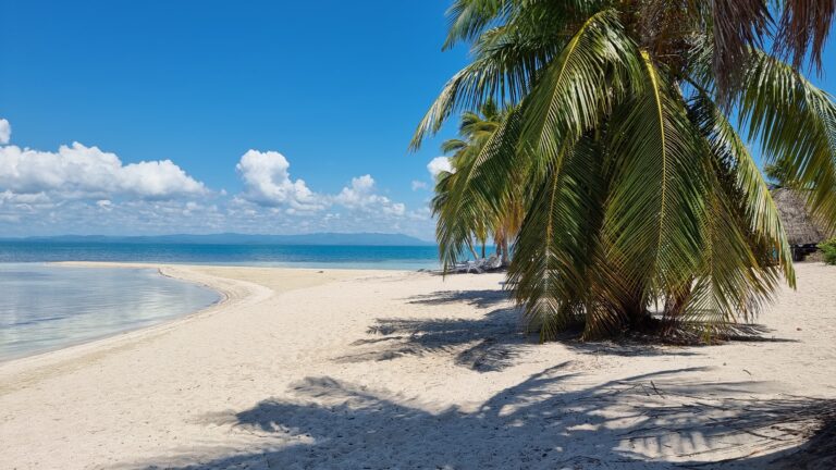 playa cayo iguanas